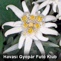 Havasi Gyop�r Fut� Klub