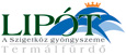 Lip�ti Term�l- �s �lm�nyf�rd�